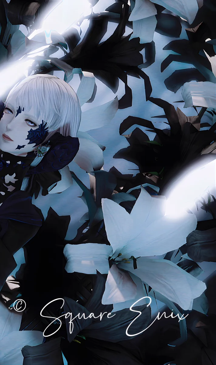 𝖭𝗈𝗇𝗈✽.。 on X: 