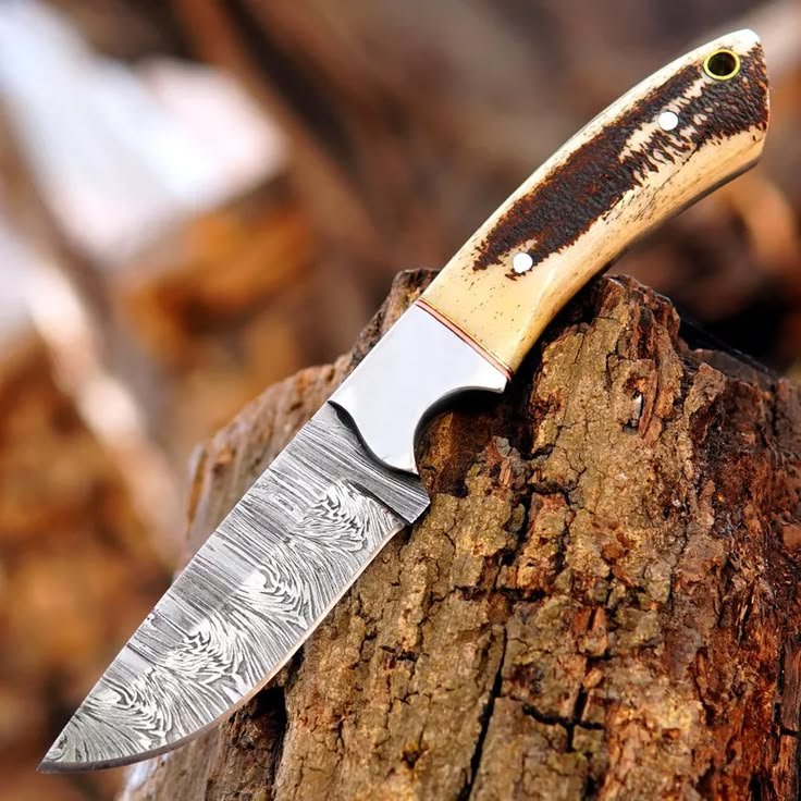ironridgeworks's tweet photo. Handmade Damascus Steel Hunting Skinner Knife
Featuring a natural Deer Antler handle and a beautiful Damascus steel blade — handcrafted for hunters and outdoor enthusiasts.
DM for details & orders.
#HuntingKnife #SkinnerKnife #CustomKnife #giftidea #giftwrapped #giftsforhim https://t.co/cIxgaHaXmm