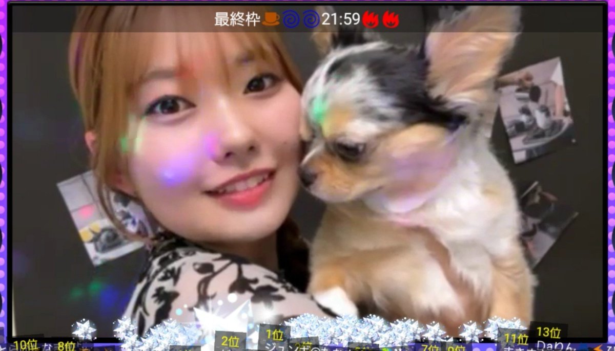 natsmhrm's tweet photo. まぶしの眠そう顔はもう定期なんよなw
鉄板ネタを持つ犬w
@mayukoNLC3 https://t.co/jVNifDHEVc