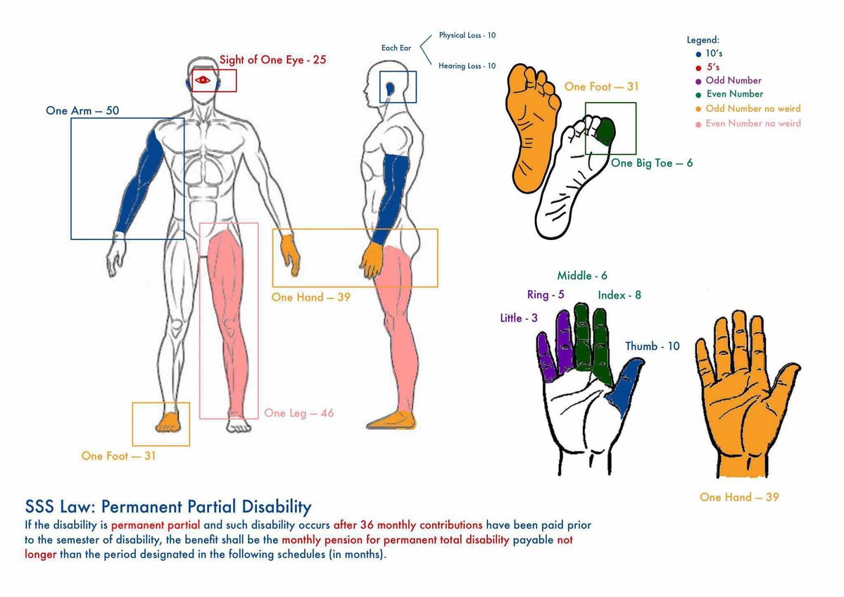JusticeJuggler's tweet photo. ANATOMY ACCOUNTANCY EDITION https://t.co/gVrLZ62rC0