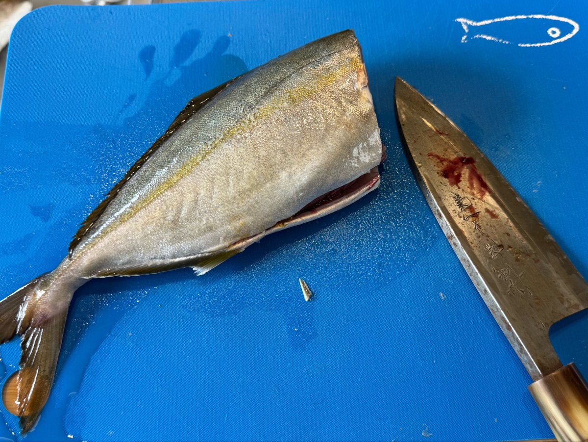 office914's tweet photo. 仕入れの朝は早い‥。300円イナダは昆布締めに。マグロの大トロは口で油が溶けて無くなる‥。ホームパーティでした。 https://t.co/Xb9xUyBn2L