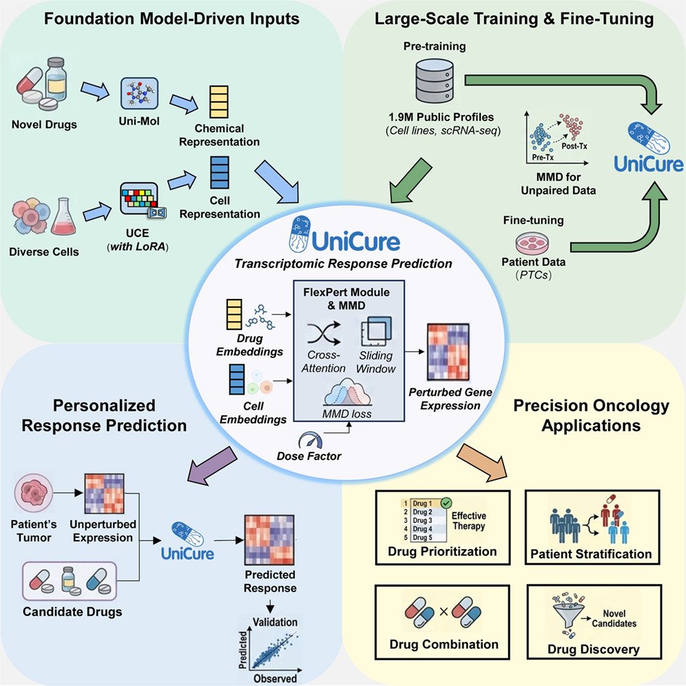 tangming2005's tweet photo. UniCure: A multi-modal model for predicting personalized cancer therapy response https://t.co/AeRZZAlvB0 https://t.co/61jfnFN9Va