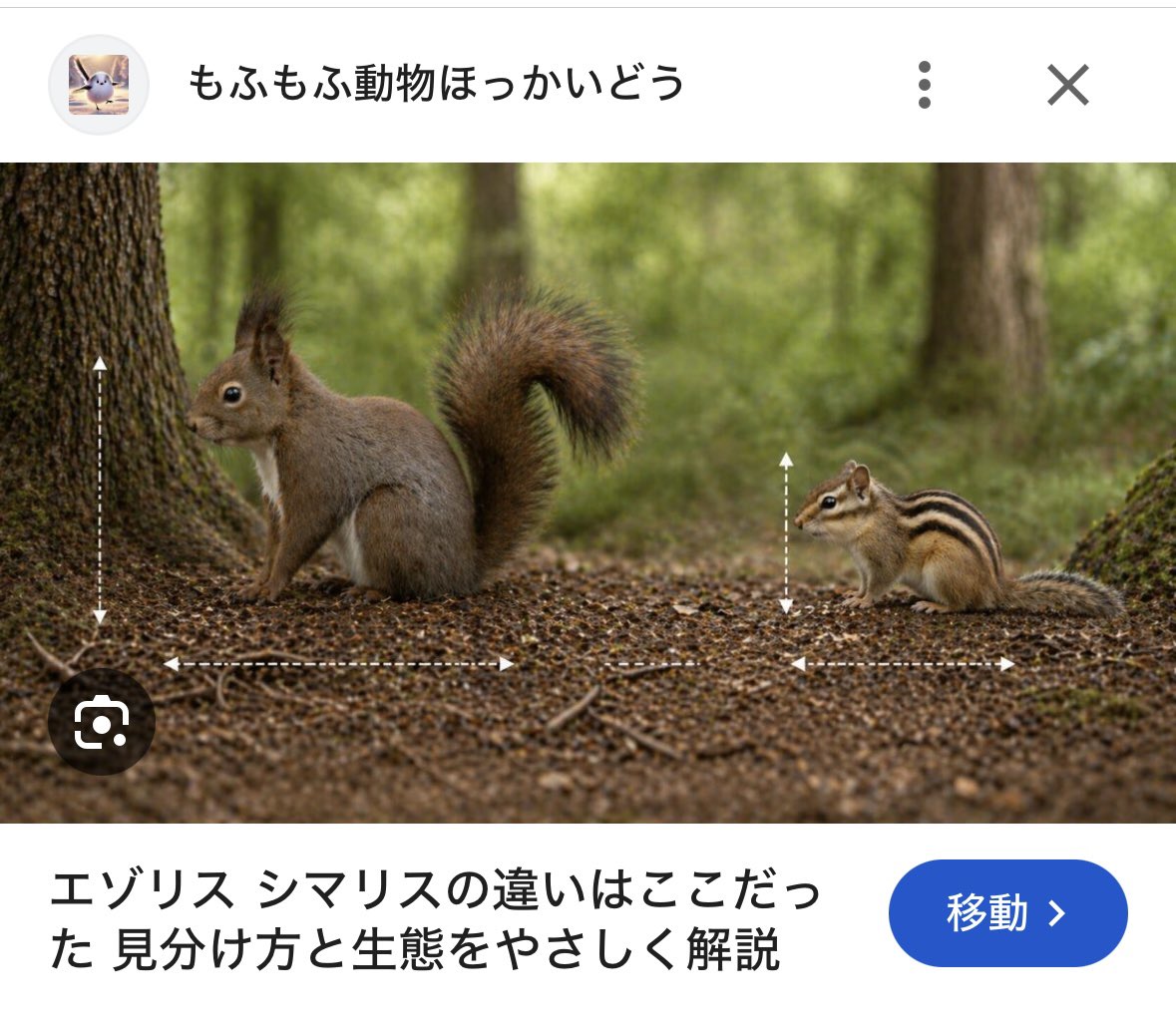 matduma's tweet photo. @j_cayu あははは！こんなに近くで見る機会なかったので調べてみたらcayuさんの言う通り大きい！多分強いと思います(笑 https://t.co/ecnvIdTrKd