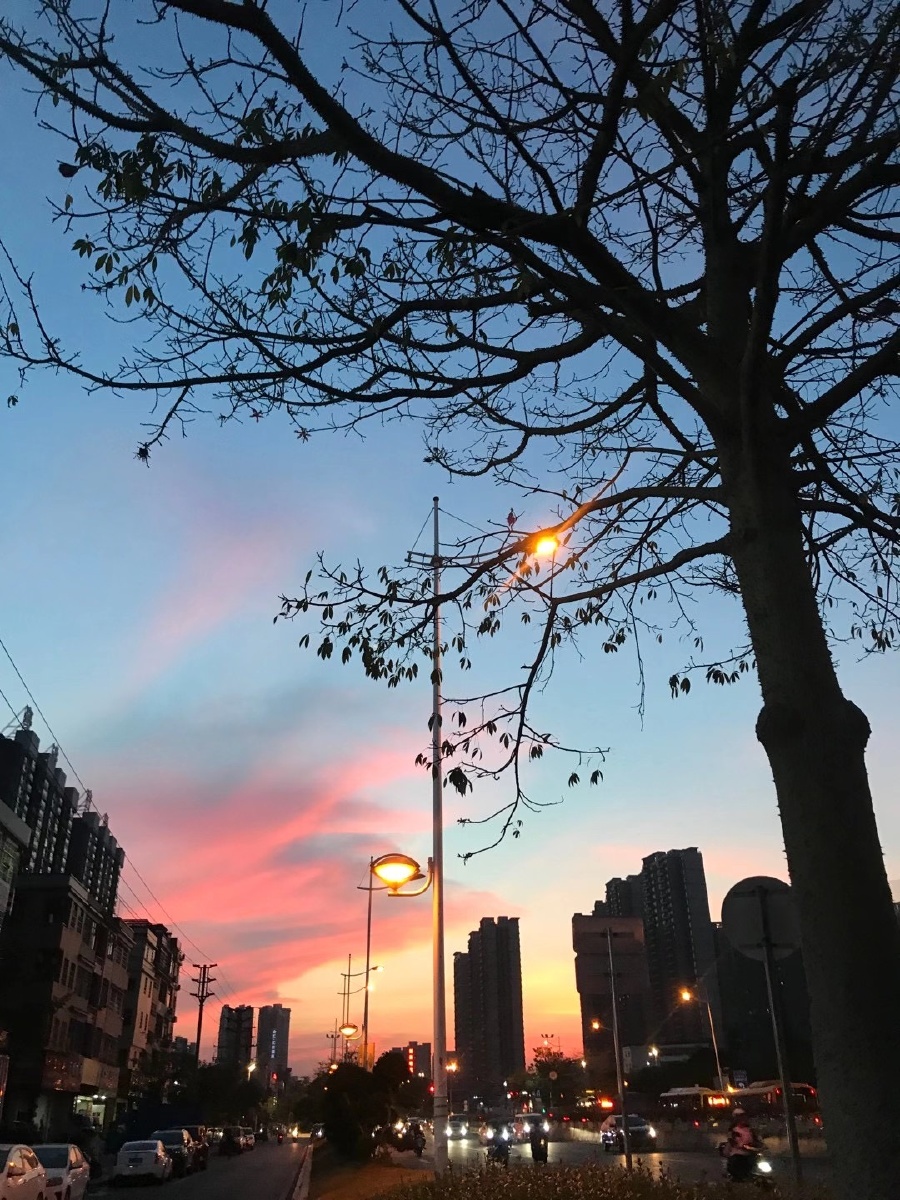 Lucaszuigamarin's tweet photo. 今天下班路上吹到晚风，突然觉得这周的疲���都散了大半 https://t.co/Kv0vZctG1g