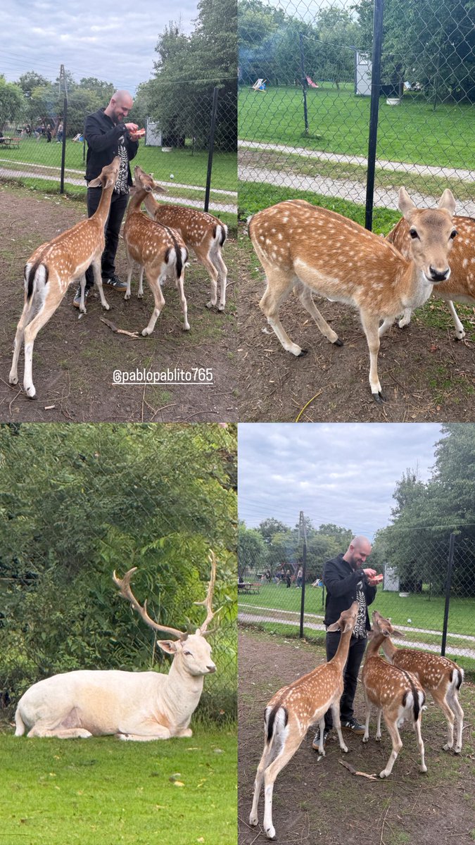 ada_celinska's tweet photo. Yesterday 🥰 https://t.co/8HxBmlUMet