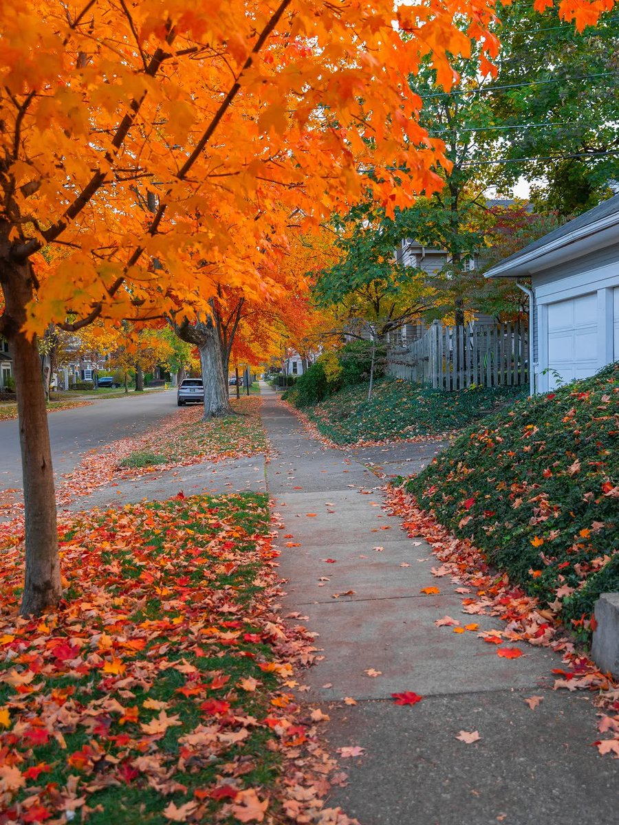 earthserenityy's tweet photo. Autumn https://t.co/LryeMnOAsw