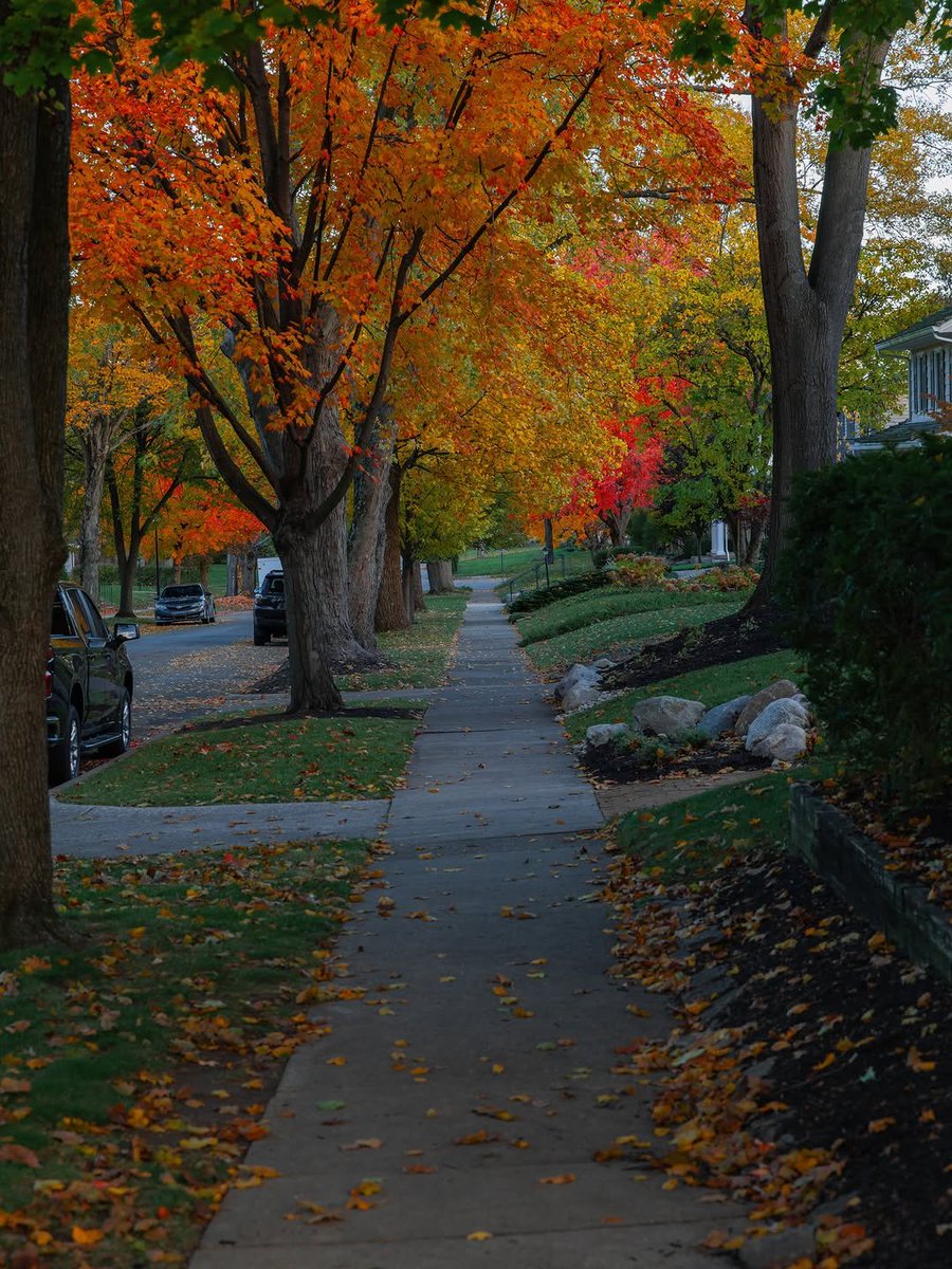earthserenityy's tweet photo. Autumn https://t.co/LryeMnOAsw