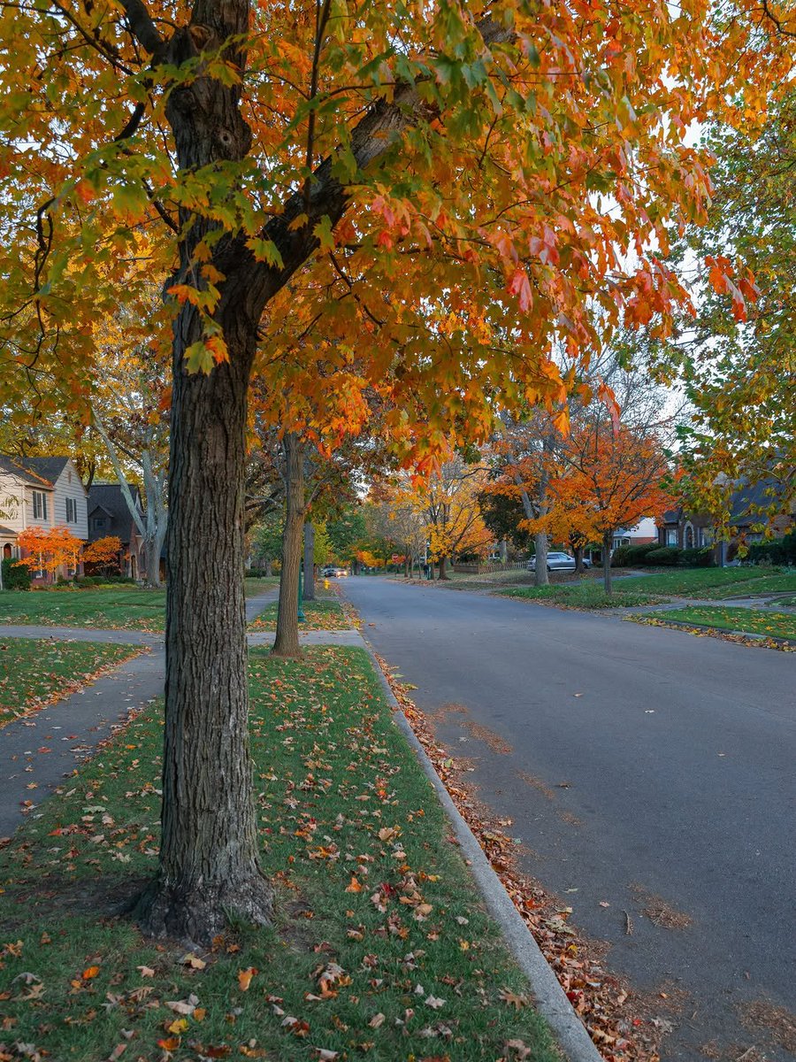 earthserenityy's tweet photo. Autumn https://t.co/LryeMnOAsw