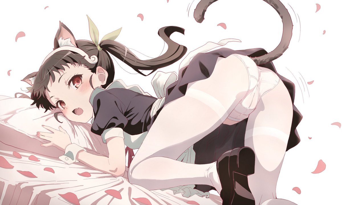 kuroisisasami's tweet photo. 人気順 https://t.co/i5xI1vxB8u