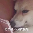 ifktly's tweet photo. 有人聊天吗，我真的是真人，可以打lol瓦三角洲，虽然玩的不是很好 https://t.co/snPwzT9VqT