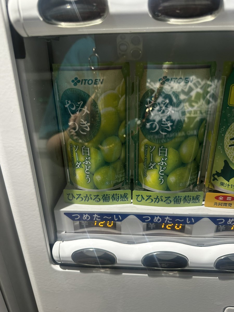 K_FsRk___s2's tweet photo. ホテルの自販機に
やみつき白ぶどうソーダ
売ってんの熱すぎ☃️♡ https://t.co/m6KotSQxfe
