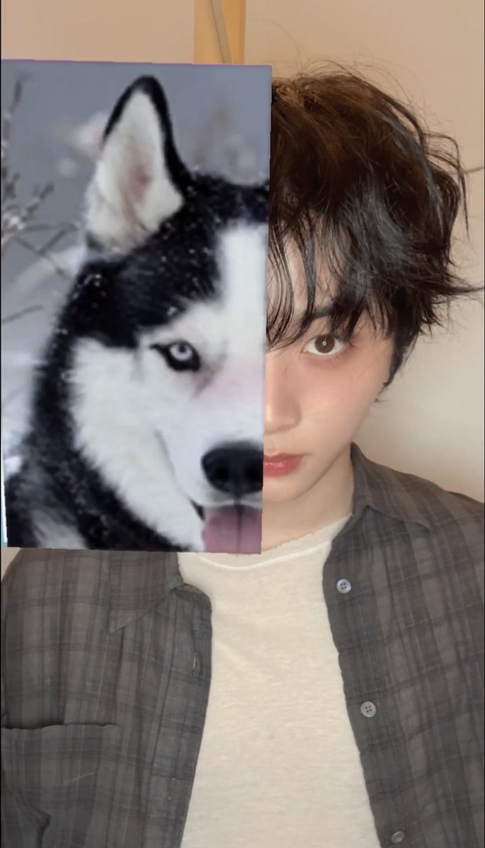 s2ungtj's tweet photo. https://t.co/OsxgANte5Z
