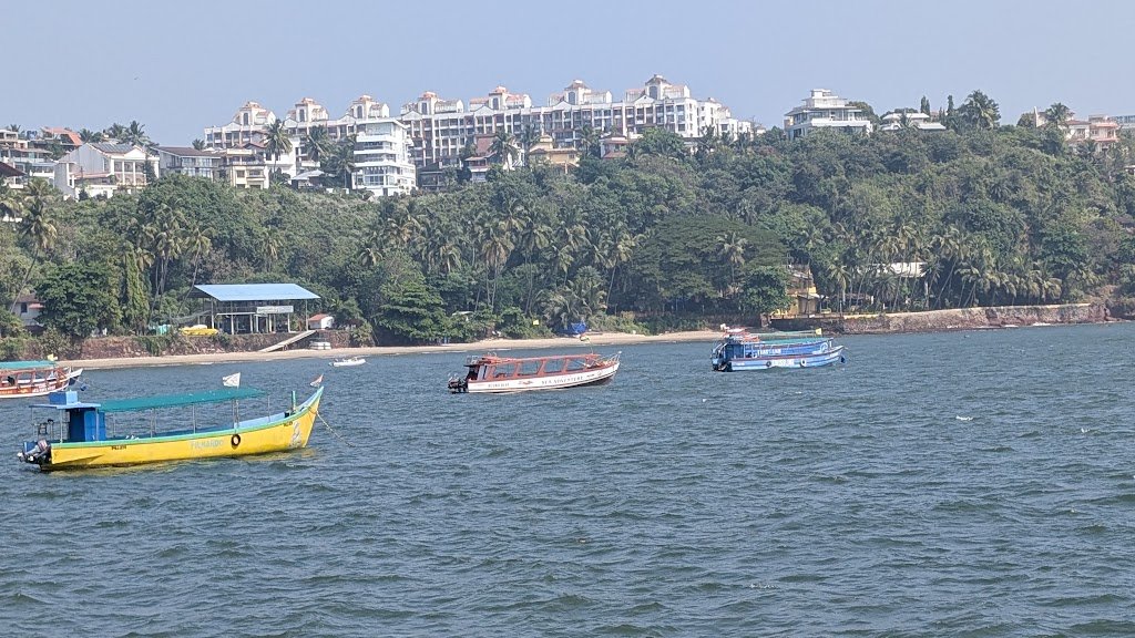 RajaSubramani22's tweet photo. Where are you from???  Show nature from around the world!   I’ll start…  Goa, India   #theme_pic_India_nature https://t.co/lmd85WX7Lq