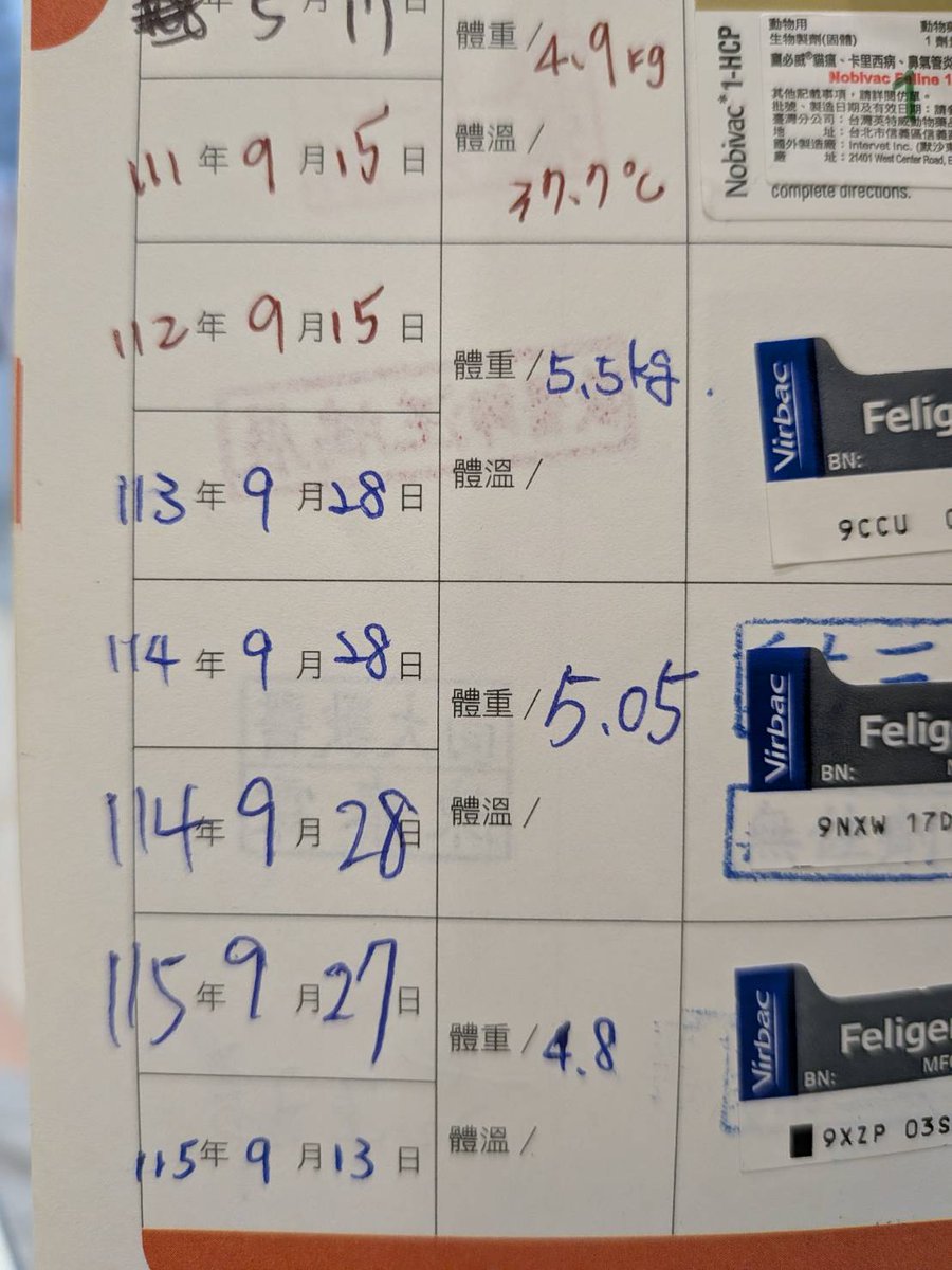 lunin_hyuga's tweet photo. 今天帶貓貓去打預防針+健檢
減重有成!!太開心了!!!
只有改變飼料其他什麼都沒做XDD
11歲小老貓健檢數值一切正常🥰 https://t.co/d6idRsnObE