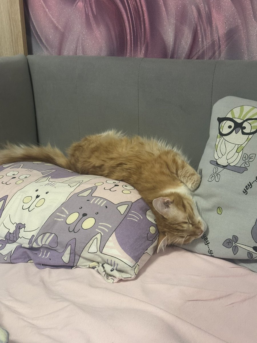 mikamaoo's tweet photo. @lily777rie моя любимка аджика https://t.co/sTDKWaaM3C
