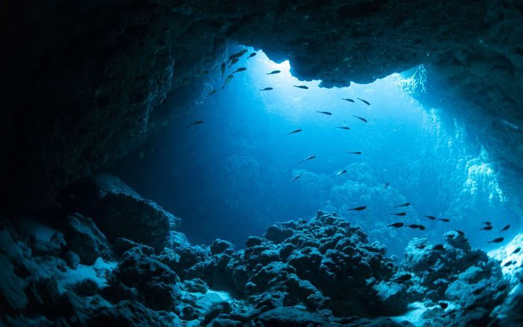 reminiscinbby's tweet photo. lost in the deep blue https://t.co/x2DUlpiOvV