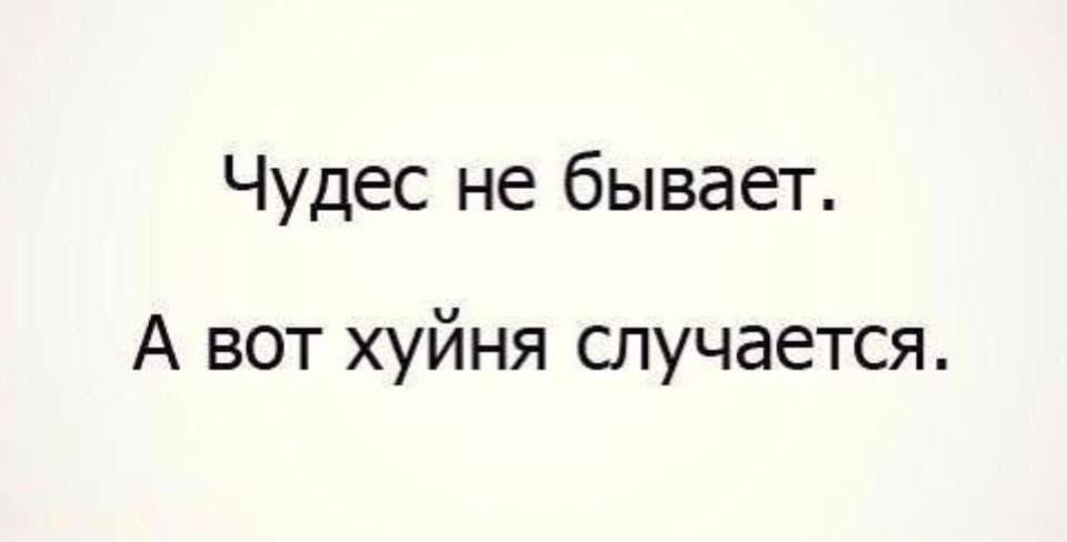 ev__nik tweet picture