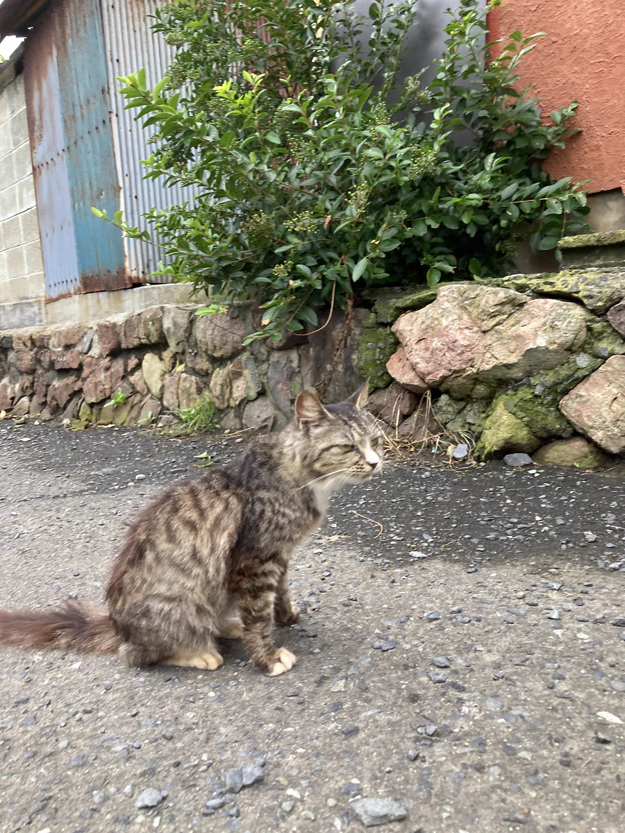 HSGhU3FbMAAdfjU?format=webp&