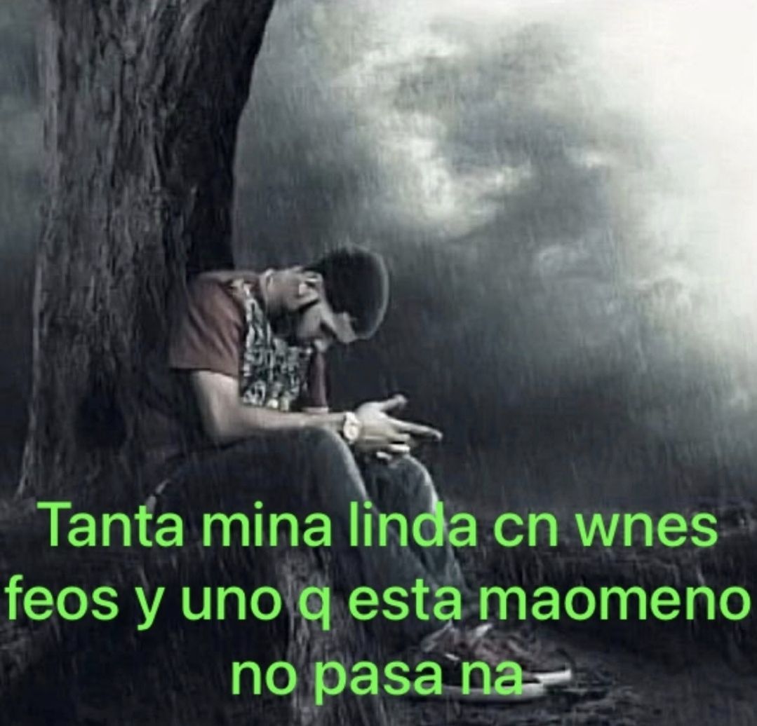 wikipistacho's tweet photo. https://t.co/flx6YRecPU