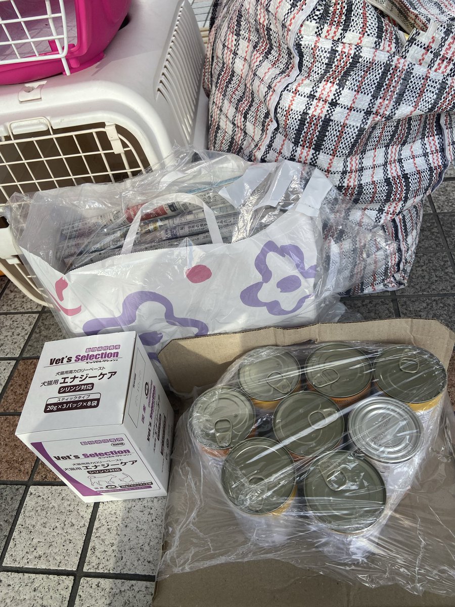 JCDLkawashima's tweet photo. 今日の譲渡会も皆様にお立ち寄りいただき、支援物資も頂戴しました。
有難うございます😃
お陰様で生後２ヶ月の子猫４兄妹のずっとのお家が決まりそうです🍀
次回の譲渡会は、１６（水）です🌼

＃譲渡会　＃千里中央　＃JCDL https://t.co/r73JbRaR5X