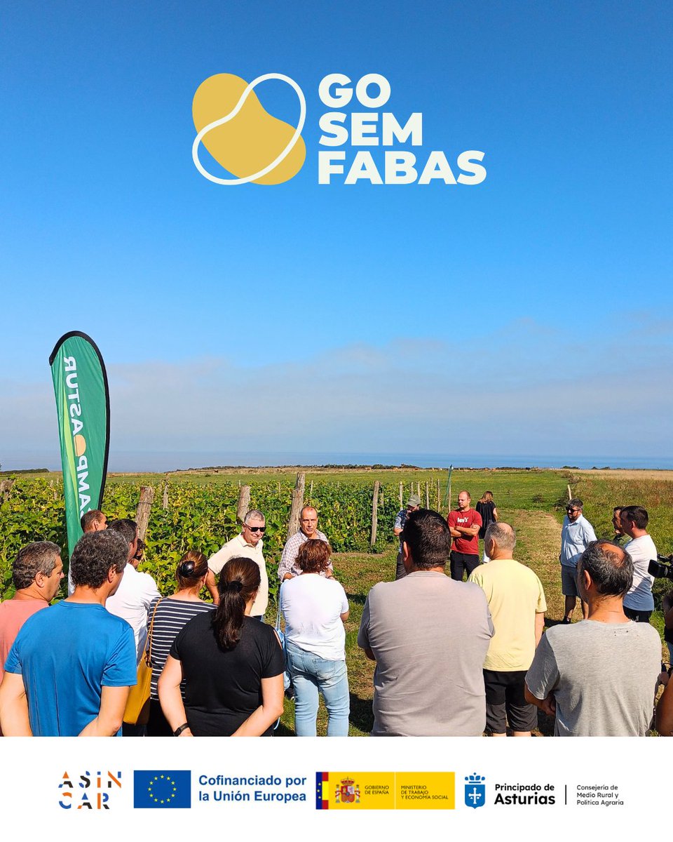 asincar's tweet photo. ✨ 03/09, Barcia (Otur, Valdés): Visita de campo a parcela y charlas técnicas, clausuradas por el Consejero de Medio Rural y Política Agraria.
🫘 El GO #SEMFABAS trabaja en la multiplicación de semilla de #FabaAsturiana, partiendo de la variedad Maximina3, obtenida por el #SERIDA https://t.co/d2vagQpbBx
