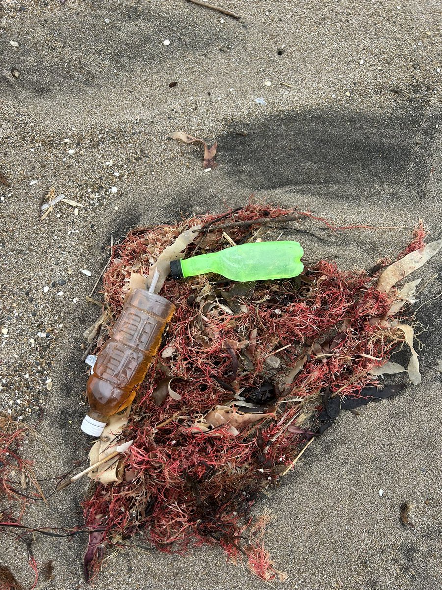 volunteer_lowlo's tweet photo. 2026/09/12
この日は銚子の君ヶ浜海岸で #beachclean
1日通してずっと雨だったのにごみ拾いをしている時間だけ雨が止む☂️しるし。
1年ぶりの銚子、満喫しました
#worldcleanupday
#ボランティア
#ごみ拾い
#SDGs
#千葉愛の教会 https://t.co/f4azxOXdIW