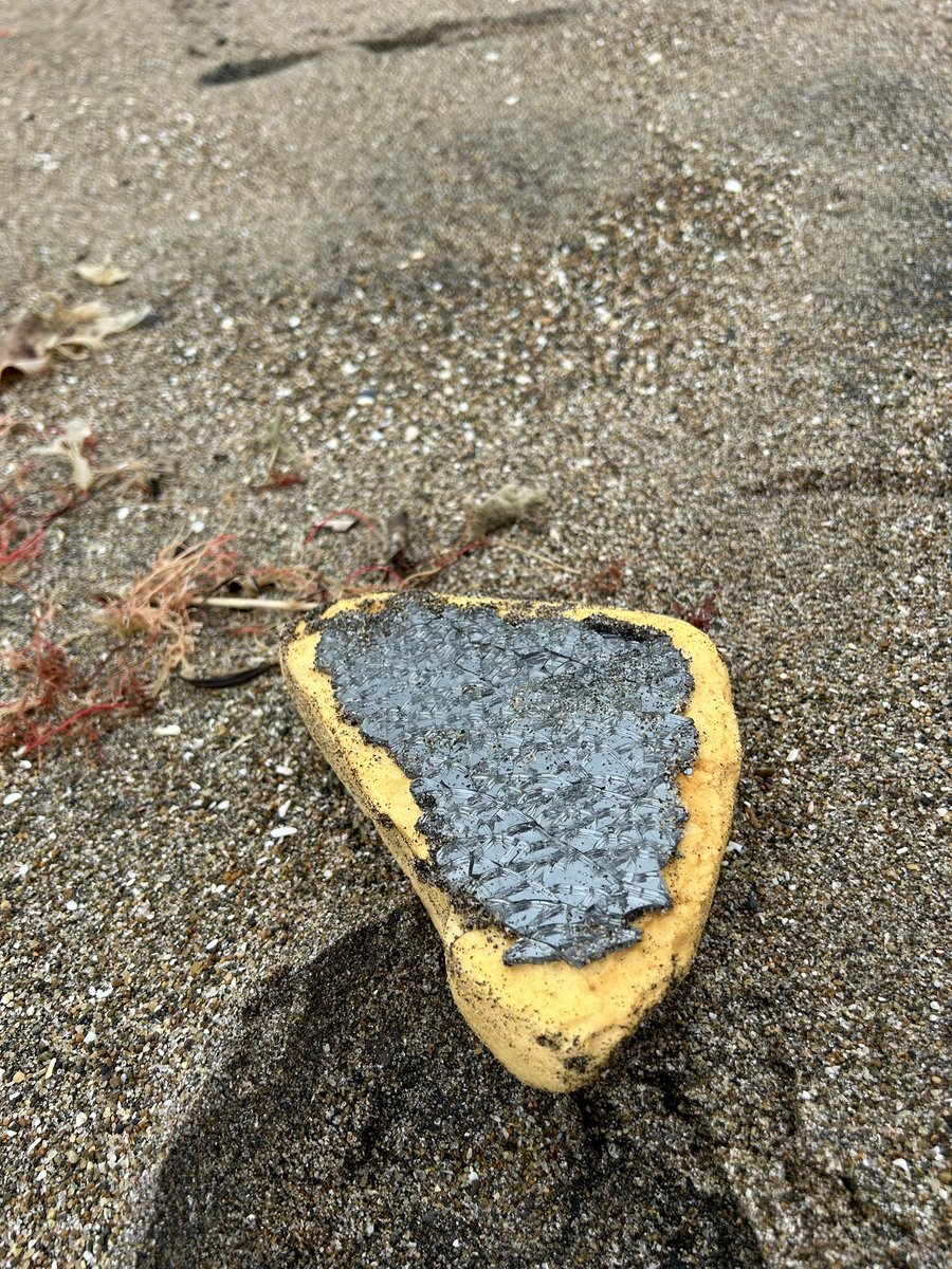 volunteer_lowlo's tweet photo. 2026/09/12
この日は銚子の君ヶ浜海岸で #beachclean
1日通してずっと雨だったのにごみ拾いをしている時間だけ雨が止む☂️しるし。
1年ぶりの銚子、満喫しました
#worldcleanupday
#ボランティア
#ごみ拾い
#SDGs
#千葉愛の教会 https://t.co/f4azxOXdIW