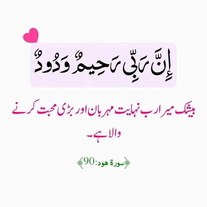yasin_661's tweet photo. https://t.co/rjKkl89iFj