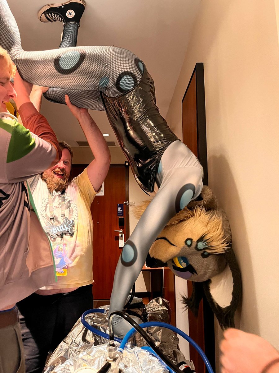 chewiescuz's tweet photo. The fact I don't have a hangover is amazing xD 
📸 @QuaggyCharr 

#furrymigration https://t.co/XGh4dqTW84