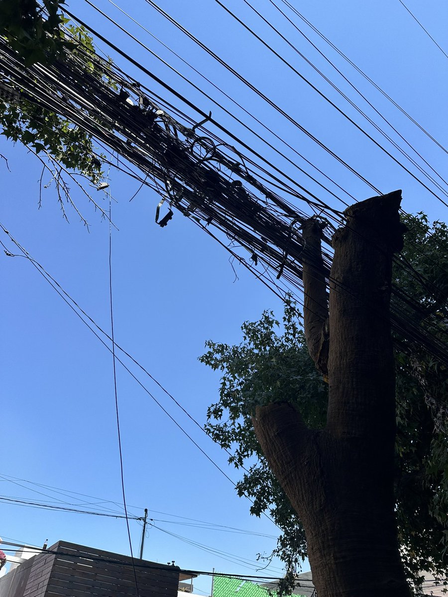 ciudadano_unido's tweet photo. ‼️‼️‼️📌📌 Jungla  de CABLEADO 📌📌‼️‼️‼️
🤬🤬⚠️⚠️día 118⚠️⚠️y contando🤬

‼️‼️HASTA CUANDO LAS AUTORIDADES HARAN RESPONDER A LAS CABLERAS ‼️ 

⚠️⚠️SANCIONEN CABLERAS IRRESPONSABLES ⚠️⚠️

Toda la #cdmx está en riesgo y la autoridad no puede seguir viendo para otro lado.

Hay cables colgando, enredados y abandonados por todas las calles. Son un peligro para peatones, automovilistas, ciclistas, trabajadores, adultos mayores y niños. No estamos hablando de un tema estético: estamos hablando de seguridad pública, protección civil y responsabilidad de las empresas.

📣📣📣Las responsables tienen nombre: #cableras, @TELMEXSoluciona , @CFEmx, @izzi_mx @Televisa @Azteca y demás prestadores que han dejado infraestructura tirada como si la vía pública fuera su bodega privada.

📣📣📣Se han anunciado Plataformas de denuncia, campañas de diputados con grupos de WhatsApp y hasta en @locatel_mx . ‼️‼️PERO QUE CREEN NINGÚN DE ESTAS SUGERENCIAS TOMA LA INFORMACIÓN ‼️
Sorprendentemente, ninguna plataforma resuelve el proceso hasta que se registre la información, otras no tienen ni la opción 🤬🤬frustrante 🤬🤬
➡️➡️Asi que sigamos denunciando aquí📌📌 

También hay una responsabilidad clara de la @AlcaldiaMHmx y todas las Alcaldías. 

El alcalde Mauricio Tabe anunció un convenio para retirar más de mil metros de cableado en la Escandón. ¿Y el resto de la Alcaldía ? ¿Por qué el programa se detuvo?

Llevamos más de 100 días pidiendo atención. Más de 1000 días advirtiendo un riesgo. Más de 100 días esperando una respuesta seria.

Si ya existe un convenio, que se aplique en toda la alcaldía. Si ya hay coordinación con empresas, que se convoque de inmediato. Si ya se pudo retirar cableado en Escandón, también se puede retirar en toda la ALCALDÍA 

Exigimos a Mauricio Tabe, a la Alcaldía Miguel Hidalgo, a CFE, Telmex, Izzi y cableras que retiren de inmediato el cableado abandonado, colgante o peligroso.

📣📣📣YA TIENEN FACULTADES POR LEY PARA OBLIGAR A LAS COMPAÑÍAS de CABLEADO a RECOGER SU MUGRERO 📣📣📣

No esperen a que ocurra un accidente para actuar.

La vía pública no es basurero de cables. Exigimos seguridad, orden y respuesta inmediata.

@lavozdepolanco @comitehc @cclomaschapulte @colonia_roma @SanenCoyoacan @copaco_san @EnCoapa_ @LomasVirreyes @ColHipodromo1 @CNocheBuenaBJ @irrigationassoc @VecinosLomas @VecinosSurRoma @Tlacopac_Campes @vecinosunidosmx @soytabacalera @LomasReforma @LomasVirreyes @vecinolomas25 @iuscue1 @JosefinaMacG @ursulacamba @haceraprender @Panchita701 @Americagil71 @VillaDeCortesBJ @VictriaL2025 @SissyCana @galovales @americagil  @Copalomas @NoReforma935 @Antonio_Carbia
