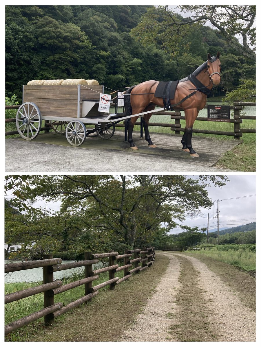 chikako_613's tweet photo. 兵庫但馬方面にお出かけ🚗
現存する銀の馬車道を見つけて
立ち寄りました^ ^
下道(したみち)には高速道路では味わえない景色や出会いがあり
楽しい一日でした☺️ https://t.co/lBi9F8duWH