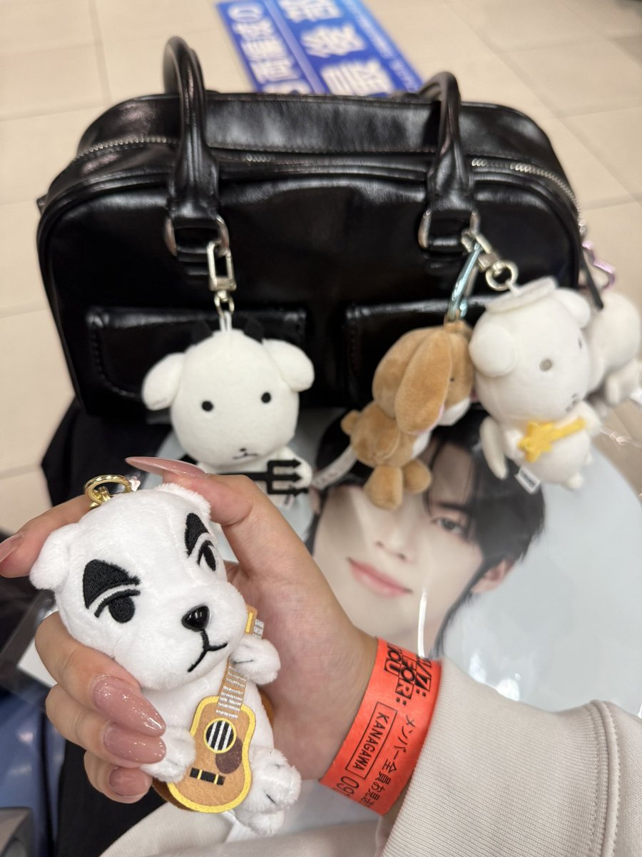 icestarry_'s tweet photo. 어제 진짜 행복했다🤍🤍 https://t.co/AMeTnBfeFl