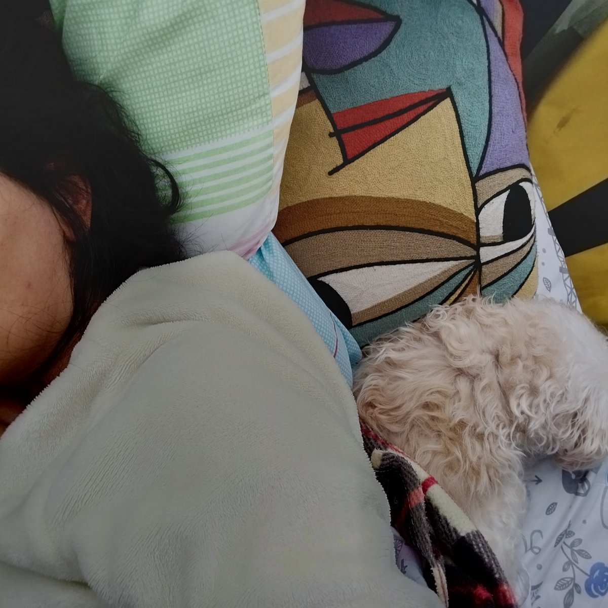 KtaInBo's tweet photo. Mi dulce compañía 💕🐕 https://t.co/oZUBPUK4Qp