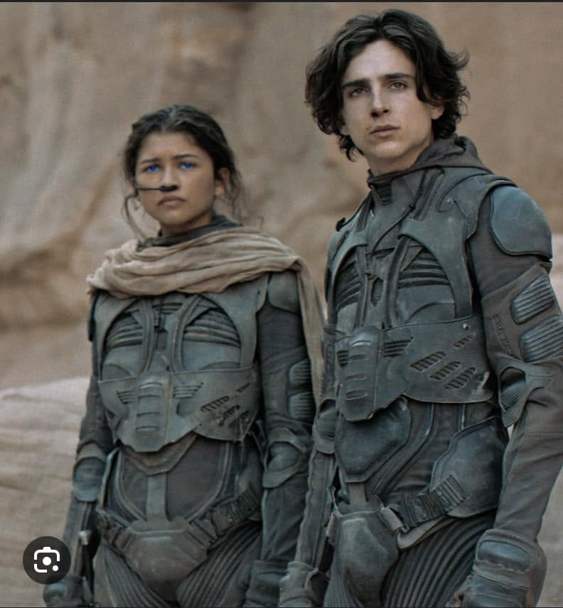 Knightly_Hist's tweet photo. Maybe a hot-take, but I prefer Lynch's stillsuits over Villeneuve's https://t.co/SgHELWFpky