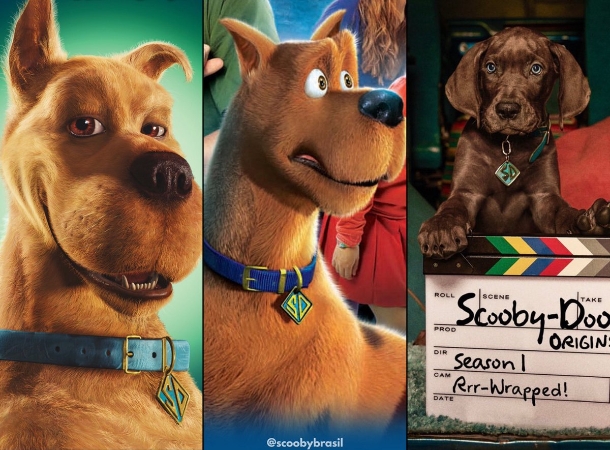 scoobybrasil's tweet photo. 57 anos desse cachorro hoje ❤️ https://t.co/WombYcuJhi