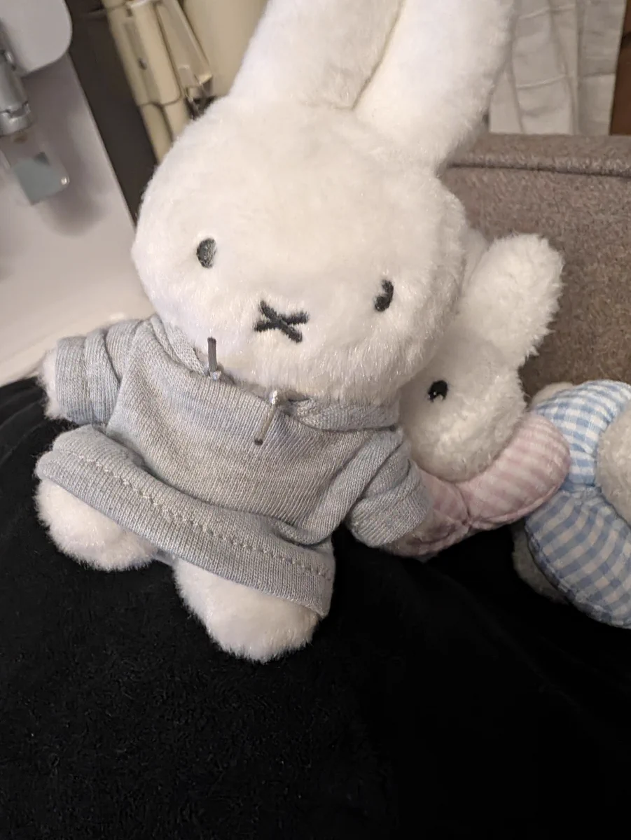 みず//-----( ⁠◡⁠ ⁠ₓ ⁠◡⁠ )-------------- (@miz7fff) / X