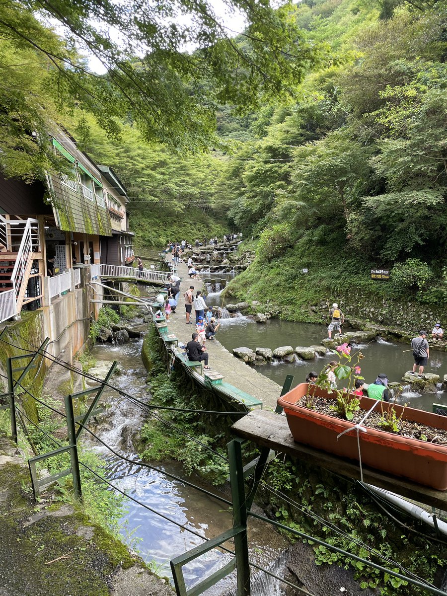 FRtoriP's tweet photo. 金剛山登ってる最中にあるマス釣りが前から気になってたので行ってみた

釣ったマスをその場で料理して食べられるという事で、子供達も喜んでいたよう

あとは普通に美味しかった☺️ https://t.co/19Mzr8jAdA