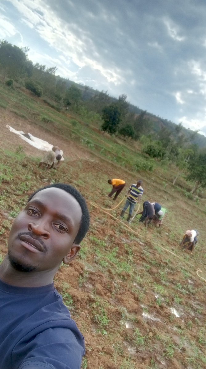 etiennexpert's tweet photo. 🌶️ A chilli field taught me something about irrigation.

At first glance, these photos look simple: a farmer, a hose, a canal, and a field of chilli plants.

But behind that scene is a bigger story.

A chilli plant does not ask for water only when the farmer has time to irrigate. It needs water when the crop needs it.

I watched the water move from the irrigation canal to the field, and I thought about how irrigation can change the story of a farmer.

Without reliable water, even good land and good farming practices can struggle. With well-managed irrigation, farmers have a better chance to maintain crop growth, flowering, fruit development and ultimately yield.

But irrigation is not simply “give the crop more water.”

It is about asking:

💧 When should I irrigate?
🌱 How much water does the crop need?
🌶️ Is the soil holding enough moisture?
🌦️ What is the weather telling me?
🚰 Am I using water efficiently?

For me, this field was a reminder that water management is crop management.

And as climate variability continues to challenge agriculture, investing in efficient irrigation systems and good water-management practices will become increasingly important for sustainable horticulture.

Every drop has a purpose. Every irrigation decision matters. 🌱💧

#Irrigation #Chilli #Horticulture #Agriculture #yefemerwandaltd #greenharvestinitiative