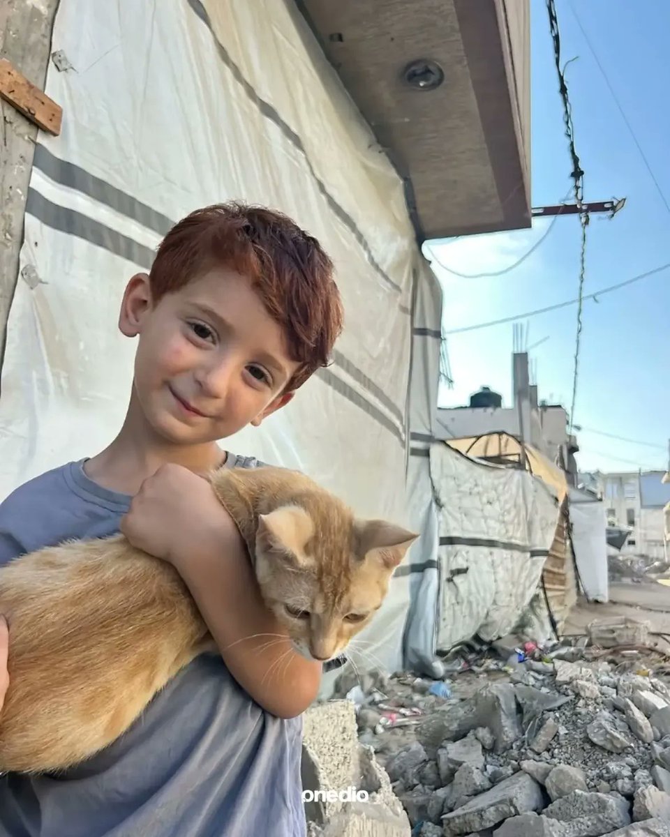 onedio's tweet photo. Çiçeklerden daha çiçek bir ikili...

Gazze'de kedisiyle beraber poz veren minik. https://t.co/Izsmc2IRXk