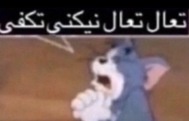 swbrvn's tweet photo. بعض بنات التيك مع اي بديهيات يسويها ولد: https://t.co/0luIJ8xI4D