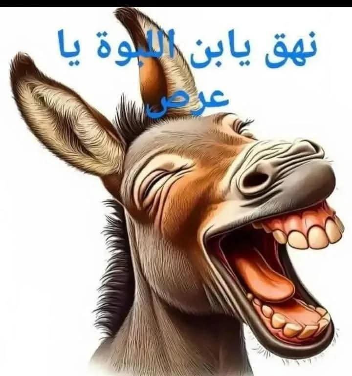 ElwiHelal's tweet photo. @ammaralihassan ربنا يشفيك هتفضل تنهق ولاحد هنسمع لك https://t.co/jFG4euMQFI