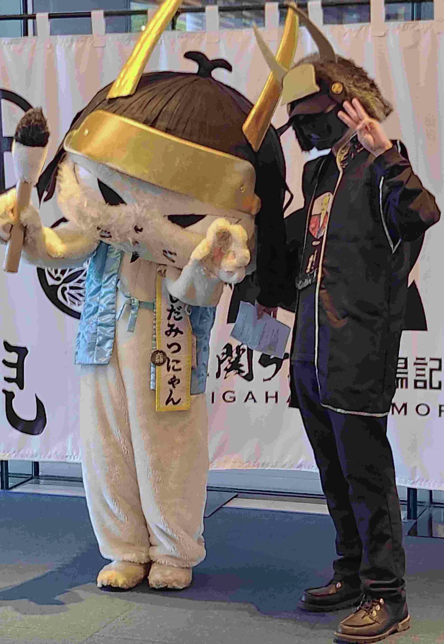 みつにゃん・さこにゃん・にゃんぶ【公式】出陣依頼受付中 on X: 