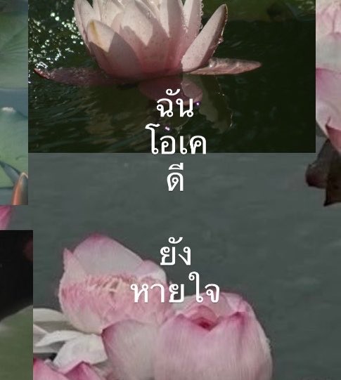 itmydefinition's tweet photo. https://t.co/G37I9En2FR