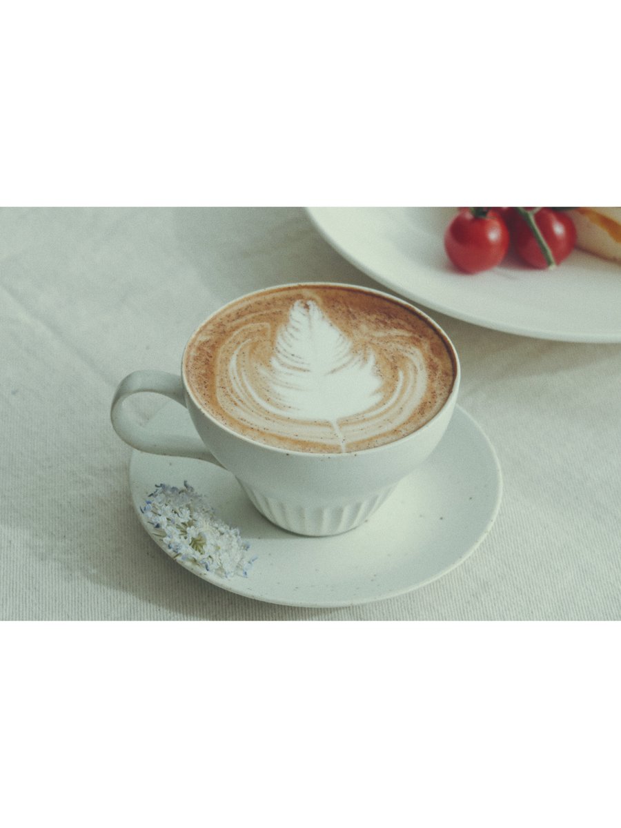 mopsm035799's tweet photo. Freshly brewed oat latte + homemade avocado toast with a sprinkle of chili flakes — the perfect cozy morning pick-me-up https://t.co/qFfkEO4TCn