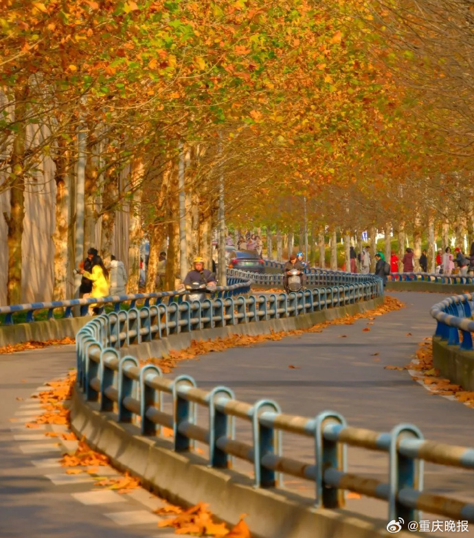 aeriy257026's tweet photo. Bright autumn sun + crisp breeze = perfect sweater weather! https://t.co/5JgRr7OUC7