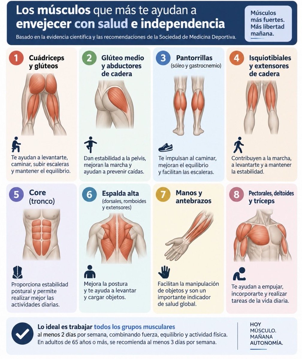 mayogastro's tweet photo. Para #envejecer con calidad hay que hacer #ejercicios de fortalecimiento muscular. Hay que trabajar todos los #músculos  Eso es sabido. Pero este es el orden de prioridad para mantener la #independencia en la #vejez   #salud #dieta #fuerza https://t.co/rzNkIs9wRh