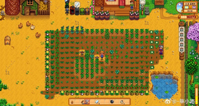 cottw184026's tweet photo. [Just finished a cozy farming session in Stardew Valley—crops looking great, and my pet chicken just gave me an extra egg! Small wins make gaming days perfect ]， https://t.co/u3F5lc5zFa