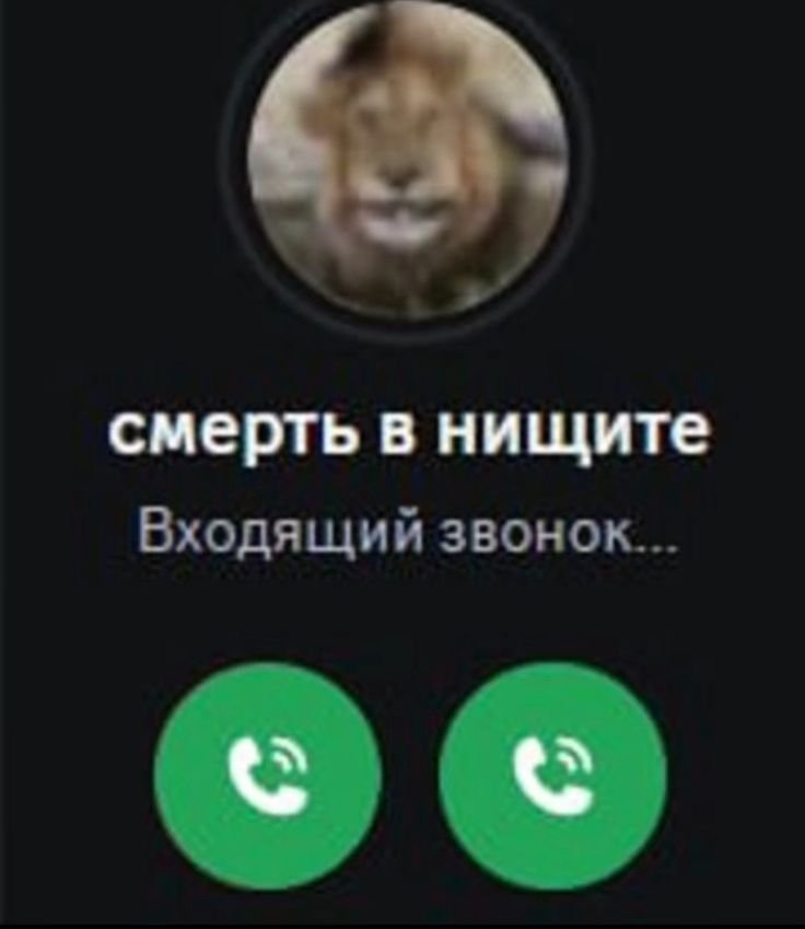 samiim11's tweet photo. Хотела забить на учёбу, но потом вспомнила: https://t.co/BSssBZQ2sI
