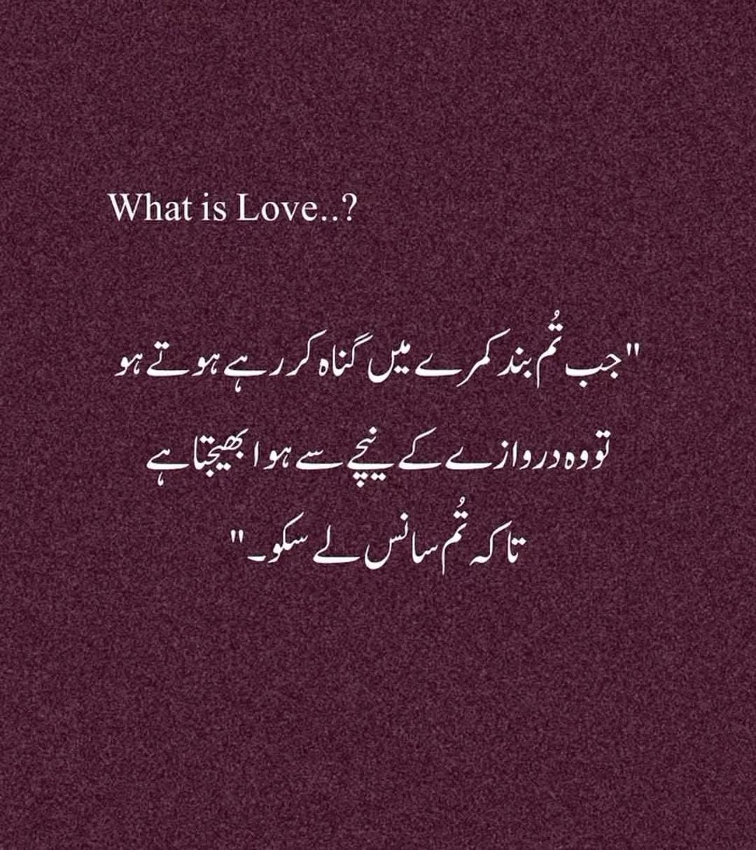 AGhaniQureshi's tweet photo. محبت کیاہے؟
#رومی #اردوقومی_زبان https://t.co/55JvYNlAAy