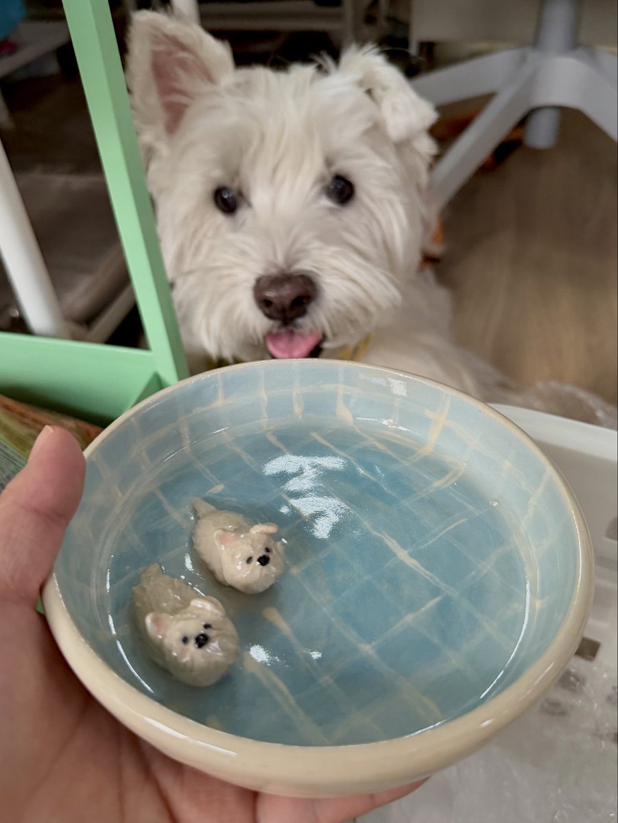 puddingnomm's tweet photo. เดือนก่อนไปปั้นเซรามิกมาเป็นลูกพี่ที่บ้านว่ายน้ำมา 🌊☀️⛱️ ออกมาใกล้เคียงกับที่คิดเลย

เผาเสร็จแล้วเลยเอามาอวดค่ะ! (อยากปั้นอีก) https://t.co/TT9PKAlB39